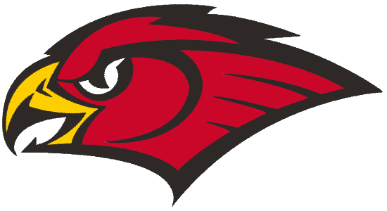 Atlanta Hawks 1998-2007 Secondary Logo iron on transfers for clothing